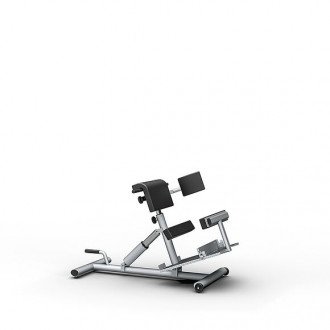 Скамья для гиперэкстензии Proxomed Compass MTT Trunk Trainer Combi в Пятигорске