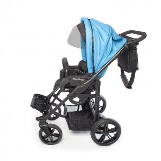 Детская прогулочная коляска ДЦП Liwcare Modi Buggy на раме Rico в Пятигорске