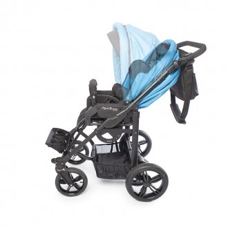 Детская прогулочная коляска ДЦП Liwcare Modi Buggy на раме Rico в Пятигорске