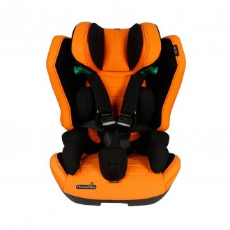 Детское автомобильное кресло ДЦП Thomashilfen RECARO Axion 1 Reha в Пятигорске