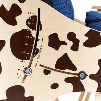 Детская комнатная кресло-коляска Akcesmed Dalmatian Invanto Dt-2 в Пятигорске