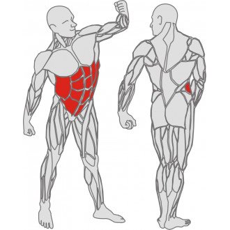 Тренажёр механотерапевтический для мышц пресса Hur Rehabilitation 5340 в Пятигорске