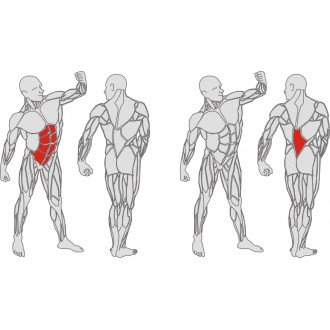 Тренажёр механотерапевтический для мышц пресса и спины Hur Rehabilitation 5310 в Пятигорске