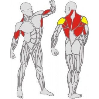 Тренажёр механотерапевтический для рук и спины Hur Rehabilitation 5175 в Пятигорске