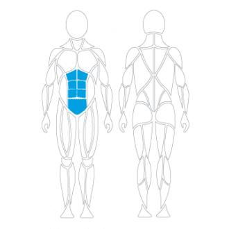 Тренажёр механотерапевтический для пресса David Abdominal Crunch G130 в Пятигорске