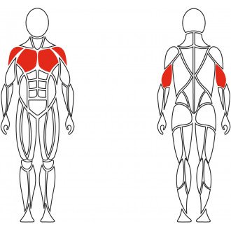 Тренажёр механотерапевтический для мышц груди David Chest Press G510 в Пятигорске