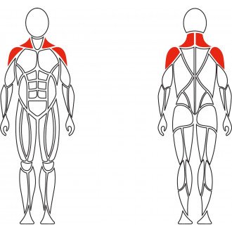Тренажер механотерапевтический David Shoulder Concept F620 разведение рук в стороны в Пятигорске